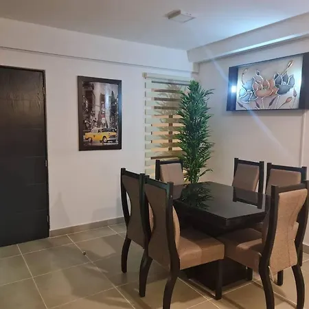 Apartamento Se Renta Por Dia Departamento En El Centro