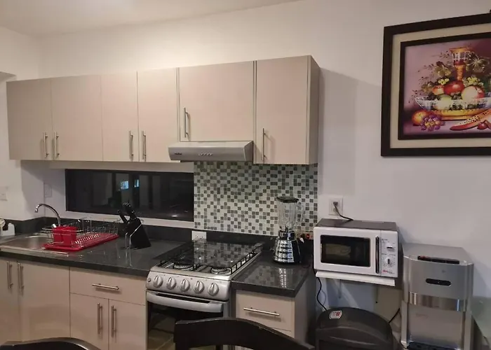 Apartamento Se Renta Por Día Departamento En El Centro